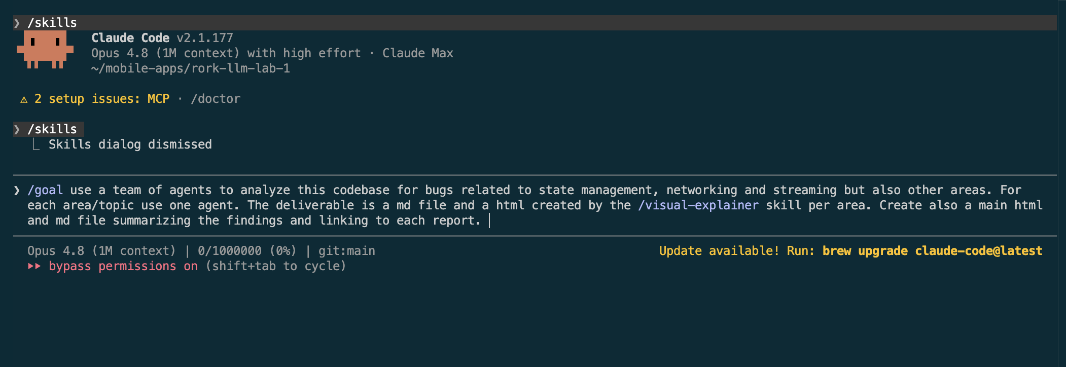 The bug-hunt prompt typed into the Claude Code CLI
